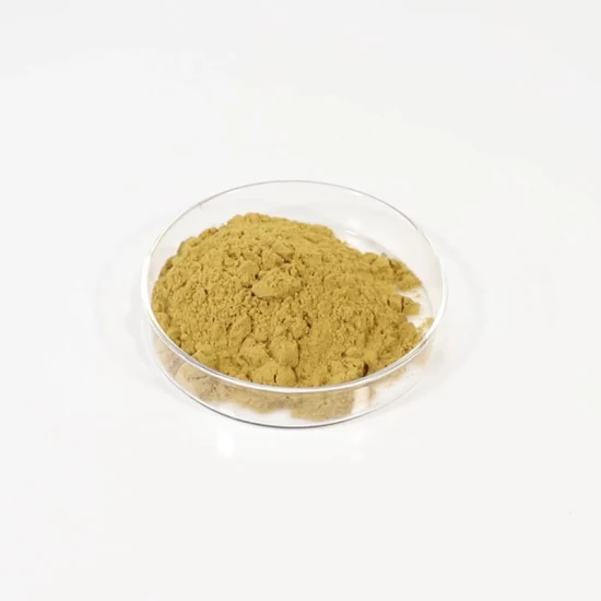Extrato vegetal para alimentação animal Polifenóis Echinacea Purpurea Extrato com polifenóis 4% UV