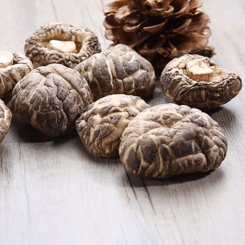 Suplementos Nutricionais de Fibra Alimentar Orgânica de Cogumelo Reishi