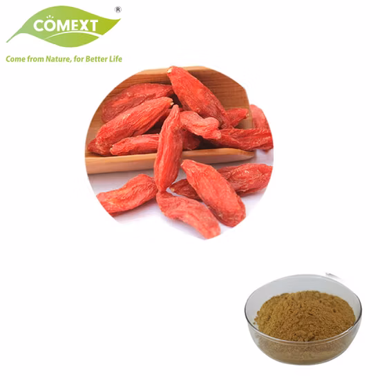 Extrato Natural de Planta Extrato de Goji
